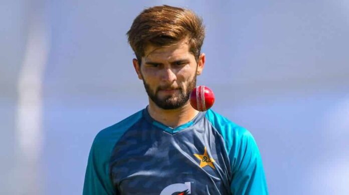 Shaheen Afridi has been nominated for the ICC Men's Player of the Month Award 2024