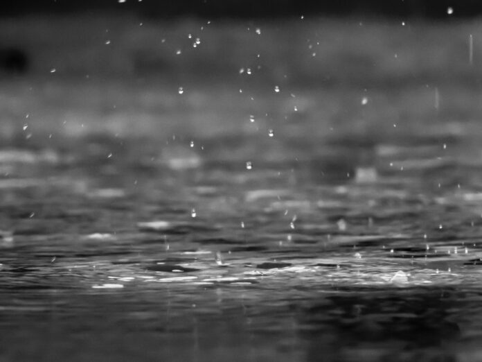 This week, Heavy Monsoon Rains are Expected in Punjab